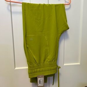 Brand New Albion Pants